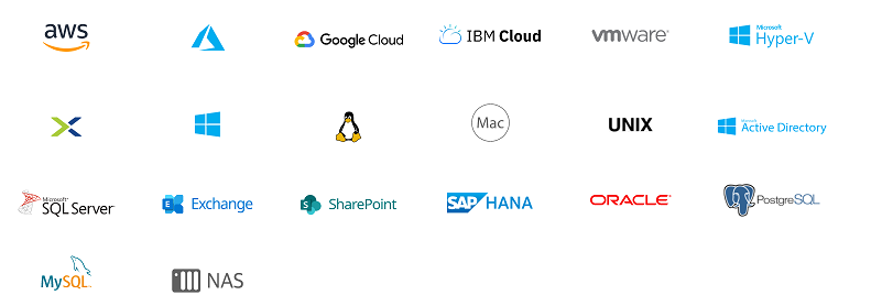Comprehensive backup for all workloads